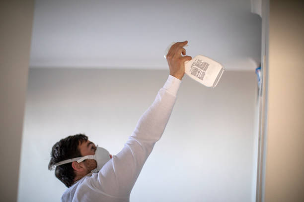 Best Fast Mold Removal  in De Witt, NY
