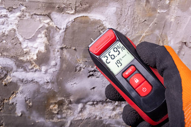 Best Crawl Space Mold Removal  in De Witt, NY